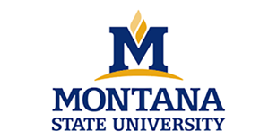 Montana State University